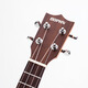 
DOPHN Dofien AR200 veneer introduction beginner male and female children students advanced ukulele small guitar 26-inch rose wood