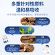 北京同仁天麻三七通络片天麻杜仲叶平卧菊三七通络片当归腰膝疼堂 优惠装120粒（基础调理）