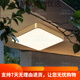 
CLCEY full copper outdoor ceiling light villa entrance door light corridor aisle balcony light terrace mosquito-proof courtyard X3893-600*800/rectangular
