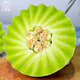Dayu Jade Mushroom Melon Seeds White Skin Ice Cream Honey Sweet Muskmelon Seeds Super Sweet and Early Mature Jade Mushroom Melon Seeds 30 Tablets 3 Bags Highly Sweet