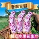 Candied Fruit Peanut Seeds Colorful Peanut Seeds Shelled Fresh Peanut Seeds Colorful Peanut Seeds Candied Fruit Peanut Seeds 1Jin Jin is equal to 0.5kg Selected Shelled
