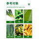Hulian Plant Protection 30% Pyraclostrobin Pesticide Fungicide for Fruit Trees, Wheat, Vegetables and Flowers, Powdery Mildew Canker Disease Prevention