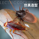Delixin Internet Celebrity Induction populaire Cockroach électrique Jouets pour enfants garçons et petites filles Technologie noire Prank Décompression Artefact Créativité [Mini Version - Cockroach d'induction] Brown 9902A + Tournevis [Version de luxe] Another + 36 Electronics