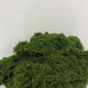Simulated filamentous moss green micro landscape layout fake lawn fish tank landscaping rockery stone bonsai landscaping pavement dark yellow green 30g free 25g