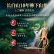 Jinpai 38 degrés Boîte cadeau à vin ginseng Collection de cadeaux haut de gamme et cadeau de vacances à vin Gift 38 degré 50 ml 1 bouteille Jinpai Ginseng Wine Experience Package
