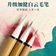 Liupintang Chinese painting set for beginners 12-color Chinese painting supplies and tools, a complete set of ink painting entry-level advanced meticulous painting, elementary school students and children's brushes, Chinese painting pigments, 19-piece set