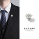 Shijun (SHIJUN) 2025 new brooch, high-end men's suit, light luxury design, niche crystal zirconium crystal zircon hexagram brooch