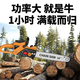 Wuyang Honda imported technology lithium TV series rechargeable high-power electric chain saw small multi-function electric chain saw imported industrial imported industrial model 16-inch one battery + two chains