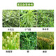 Yongnong Bilida 20% dichloride block fast herbicide kills cowgrass weeds orchard root rot and eradicates weeds 1000g