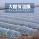 Runhuanian white transparent agricultural thickened small shed special film vegetable field insulation film winter 2 meters wide 4 wires thick agricultural small shed film 10 meters long
