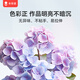 卡乐优（Coloyou）超轻粘土24色罐装黏土儿童幼儿园手工DIY彩泥孩玩具安全无毒礼物