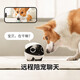 Aktivieren Sie das ganze Haus Mobile Walking Camera EBO Begleiter Roboter Fernbedienung Fernbedienung Wireless Überwachungskamera Rola Mini Pet Begleiter Spielzeug Roboter Rola Mini-64G (kann für 4-6 Tage aufbewahrt werden)