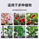 
Climbing fixed binding rod Money tree support rod Indoor fruits, flowers, plants, gardening flower stand flower pot support rod 10 4mm green 50cm long 10 sets of hats