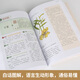 【正版】中医推拿按摩书 全2册 图解经络穴位+对症按摩大百科彩图版 零基础学会推拿按摩书籍手法 图解：神农本草经