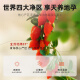 Qilixianghong Wolfberry Erste Bio-zertifizierte Spezialgröße großer Obst Wolfberry 250 g schwefelfreies neues Produkt Qinghai Free Wash Gouqi