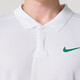 耐克（NIKE）polo衫男装2025春季新款运动休闲商务翻领短袖T恤FD5318官方正品 FN3895-063/純棉 XL /150-180斤/180