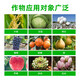 Guoguang Pesticide, Naphthalene Acetate, Plant Growth Regulator, Flower Preservation and Fruit Preservation Medicine, Prevent Fruit Drop, Fruit Tree Flower and Fruit Treasure, Fruit Setting 1000ml (12 bottles in the box)