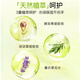 Lion Qujing Foam Antibacterial Hand Sanitizer Green Field Green Mango Fragrance 250ml Natural Plant Extract Moisturizing Home Moisturizing Children
