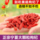 Beijing Tongrentang wolfberry Ningxia authentic special grade gouji guji sulphur-free large granules gouji guji guji guji guji guji guji guji guji guji guji guji guji guji guji guji guji guji guji guji guji guji guji guji guji guji guji guji guji guji guji guji guji guji guji guji guji guji guji guji guji guji guji guji guji guji guji guji guji guji guji guji guji guji guji guji guji guji guji guji guji guji guji guji guji guji guji guji guji guji guji guji guji guji guji guji guji guji guji guji guji guji guji guji guji guji guji guji guji guji guji guji guji guji guji guji guji guji guji guji guji guji guji guji guji guji guji guji guji guji guji guji guji guji guji guji guji guji guji guji guji guji guji guji guji guji guji guji guji guji guji guji guji guji guji guji guji guji guji guji guji guji guji guji guji guji guji guji guji guji guji guji guji guji guji guji guji guji guji guji gu