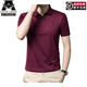 
AJGNEAMAIN Italian light luxury high-end men's summer short-sleeved POLO shirt traceless business casual half-sleeved solid color men's top 9859 purple red [no marks, no iron and anti-wrinkle] 3XL 190/56 [recommended 170-190Jin [Jin equals 0.5 kg]]
