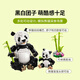 【95成新】乐高（LEGO）积木拼装31165 野生动物熊猫家族男孩女孩儿童玩具新年礼物