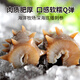 Lao Yin's Qingdao Origin Ocean Ranch Deep Sea Sowing Ready-to-Eat Sea Cucumber 1200g Nourishing Gift Box Directly from the Source