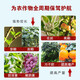 Plasma protein leaf fat fish protein amino acid fruit tree vegetable coloring beautiful fruit germination and seedling increase production water-soluble fertilizer Australian brand 1200g * 12 bottles