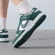 耐克（NIKE）男鞋 夏季新款DUNK LOW RETRO复古时尚运动鞋潮流低帮休闲鞋 DD1391-101 46