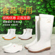 Doppelstern (Shuangxing) Doppelstar Männer und Frauen weiße Regenstiefel mit niedrigem Top Nonflip Food Sanitärstiefel mittlere Röhrchen Regenstiefel hohe Röhrchen -Food -Fabrik -Wasserschuhe plus Samtmännchen mit mittlerem Röhrchen 9923 ohne Samt - extra dicke Sohle 39 Männer