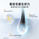 Kangwang Bayer [Lilac Doctor] Adénosine Anti-Deletion Shampooing Revitalise Fil Follicules Hair Care Smvep Care 400ml