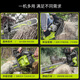 
Shibaura industrial-grade logging chain saw household high-power gasoline saw full copper motor original electric chain saw garden tool Z9900 [high power high-end gasoline saw] 5 chain
