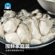 Seafood Family frozen oyster meat net weight 1.6 Jin Jin equals 0.5 kg 60-70 pieces/bag oyster meat hot pot barbecue ingredients fresh seafood