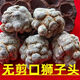 Panax notoginseng, authentic Yunnan Wenshan Chun Panax notoginseng, wild Chinese herbal medicine Tianqi, special grade slip-tall slimming slimming slimming 500 grams, each Jin[Jin is equal to 0.5 kg] 14 slip-tall slimming slimming slimming slimming slimming slimming slimming slimming slimming slimming slimming slimming slimming slimming slimming slimming slimming slimming slimming slimming slimming slimming slimming slimming slimming slimming slimming slimming slimming slimming slimming slimming slimming slimming slimming s