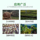 Laianping'an 50% indole butyric acid naphthalene acetic acid grape fruit tree poplar growth regulator to promote rooting and improve survival rate