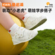 Ginoble Baby Kleinkind Schuhe 25 Sommer Mesh 8-18 Monate Männer und Frauen Baby niedliche Haustierserie GB2438 Weiß