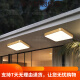 Clcey Full Kupfer Außendecke Leichte Villa-Eingangstür Leuchtkorridor Ausgang Balkon Lampenmücken Mückenmückenmücken X3893-3 x3893-400*600/Rechteckig