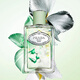 PRADA Dream Iris 10ml (with box, nozzle, no plastic seal) Woody Floral Fragrance Valentine's Day Gift