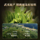 华祥苑乌龙茶 武夷山岩茶水仙一级256g中足火罐装优选口粮茶叶自己喝