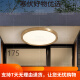 心镜全铜户外吸顶灯别墅大门口门前灯室外过道阳台灯防蚊虫庭 X3893-500/方形