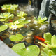 Villa Garden Outdoor Courtyard Rockery Flowing Water Fountain Circulating Water Landscape Decoration Ornament Balcony Fish Pool Landscape 5010 Rectangular Pool 190x70x155 Length Width Height