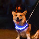 Luhid dog collar, luminous dog leash, multiple luminous colors, adjustable size, anti-lost rechargeable model for walking the dog at night