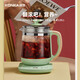 KONKA Health Pot Tea Boiler Glass Insulated Boiling Water Kettle Electric Kettle Mini Glass Tea Kettle 1.8L KHK-1809(st)