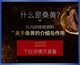 明治药品日本 桑黄灵芝粉 野生破壁孢子粉