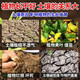 Loosening essence soil activator loosens and improves soil compaction, no deep plowing, black water fertilizer for vegetable fields, 500g, 3 bags, buy 2 and get 1 free