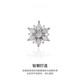 Shijun (SHIJUN) 2025 new brooch, high-end men's suit, light luxury design, niche crystal zirconium crystal zircon hexagram brooch