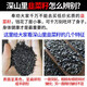 Lianghetang Materiales medicinales chinos salvajes Semillas de cebollina para té de riñón para hombres, vino genuino, tonic y frito, semillas de cebollina comestibles semillas de cebo salvaje de alta calidad 250G