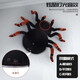 Simulación de control remoto de la pared Spina Web Celebridad Douyin Hot Insect Machine broma adultos Spoof Toys de niños 2.4G Control remoto Aprilización de la pared Lupao Trailer de pared Modelo de carga USB de doble modo-Recolección y batería