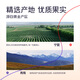 Produced by Bairuiyuan Guo Xiaofan Early Red and Evening Black Wolfberry Raw 900ml Ningxia Qinghai Red and Black Freshly Squeezed Wolfberry Juice 100%