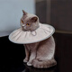 Tangqi pet Elizabethan sterilization care collar cat and dog grooming collar anti-licking and biting small dog headgear Coco milk M (suitable for 5-10 Jin Jin equals 0.5 kg)