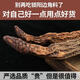 Shen Dingqi Inner Mongolia Pure Wild Gold Suoyang Chinese Medicinal Material Whole Cistanche Epimedium Ni Haixia Eight Diamond Soaked Wine Suoyang Whole Root 250g [2-3 Roots]